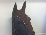 Blue cap horse with ear flaps and decoration strass